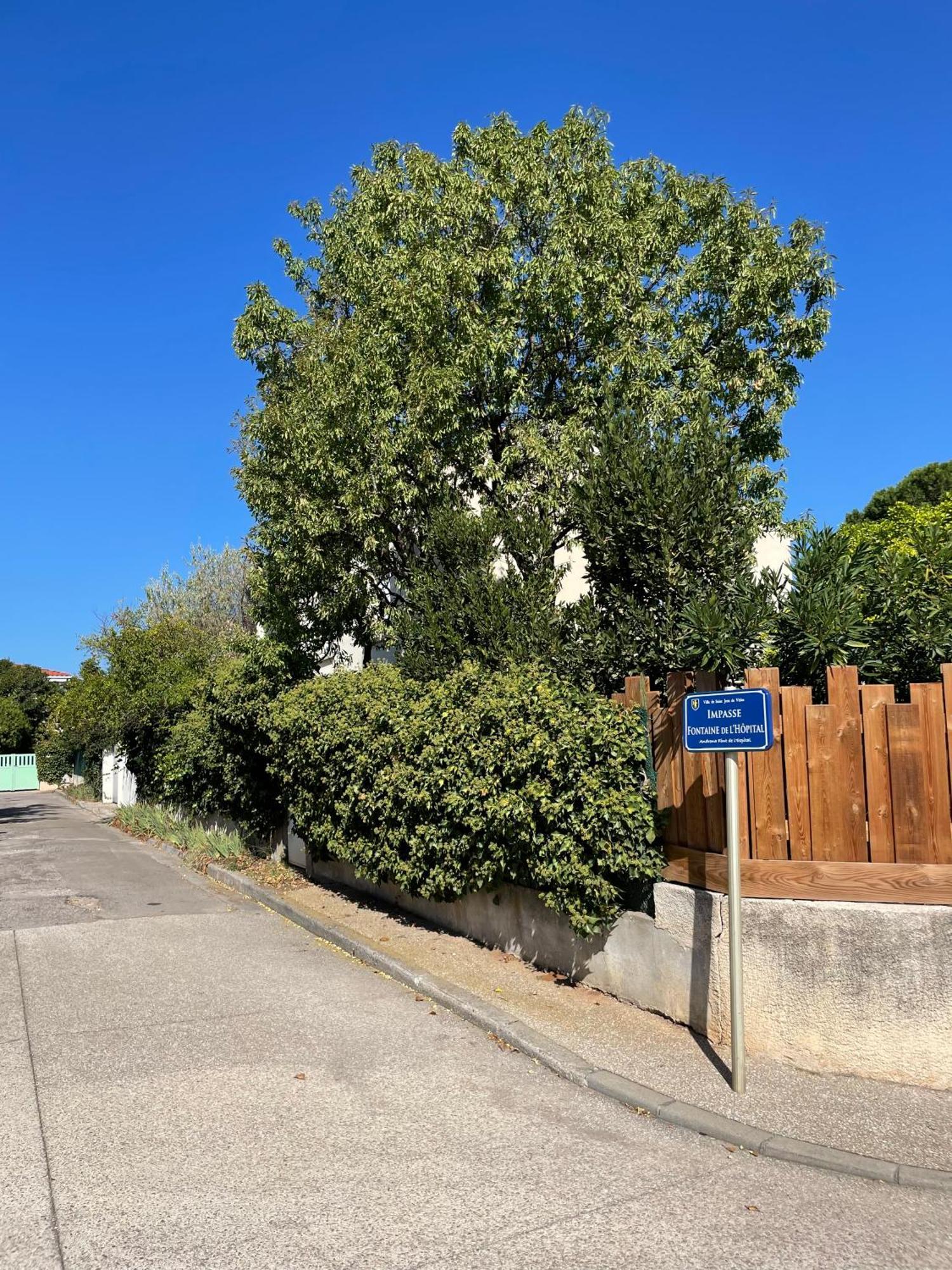 Le Pistachier - Maison Cozy Avec Jardin Privatif Saint-Jean-de-Védas Buitenkant foto
